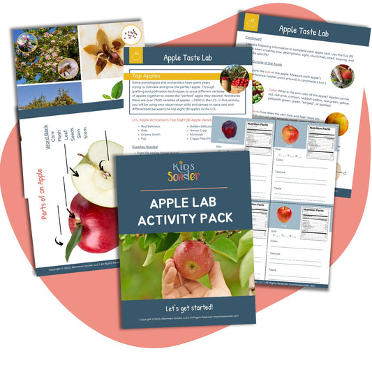 Display of pages from printable apple lab activity pack for kids