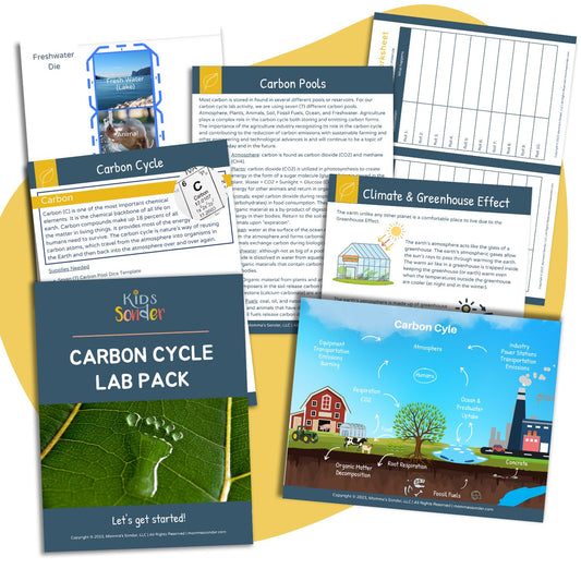 pages from carbon cycle lab pack printable