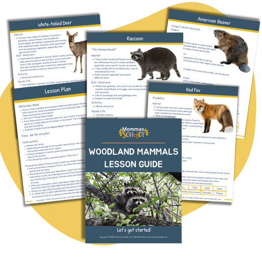 printable woodland mammal lesson guide pages with red fox raccoon beaver and deer