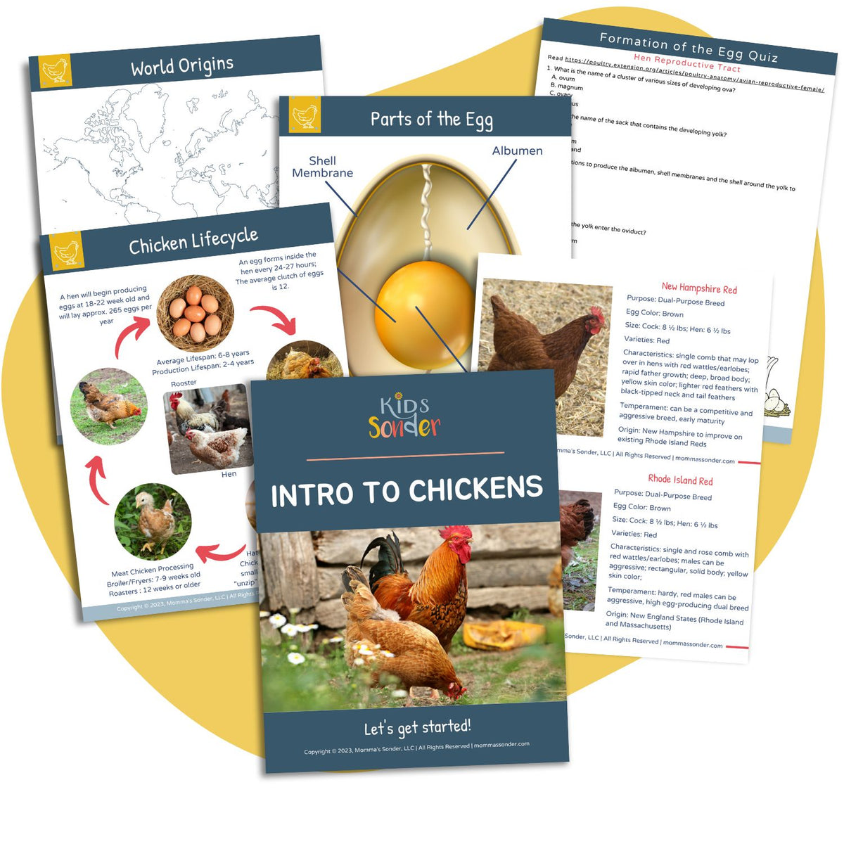 Poultry Lesson Introduction to Chickens Printable Unit Study – Agriculture Unboxed ...