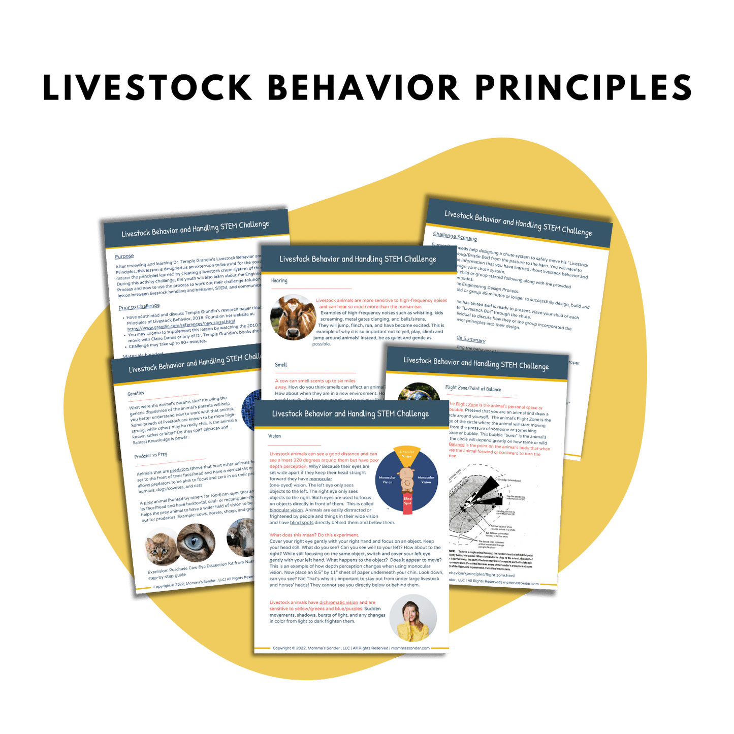 lesson plan for livestock behavior and handling activity for kids