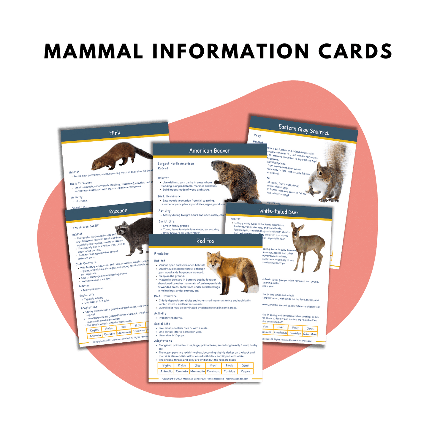 woodland mammal description cards with pictures