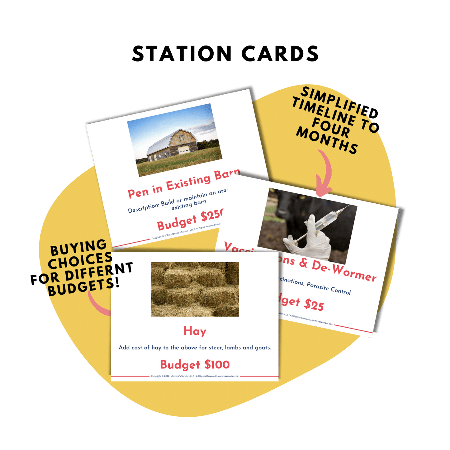 budget station cards from livestock record keeping lesson plan 