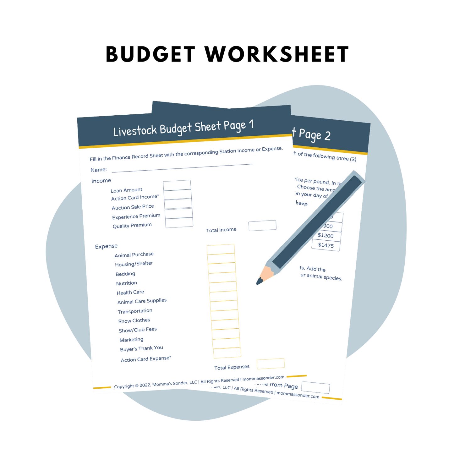 budget worksheet for livestock project record keeping lesson plan